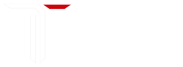 Teminat Group araç değer kaybı danışmanlığı logosu